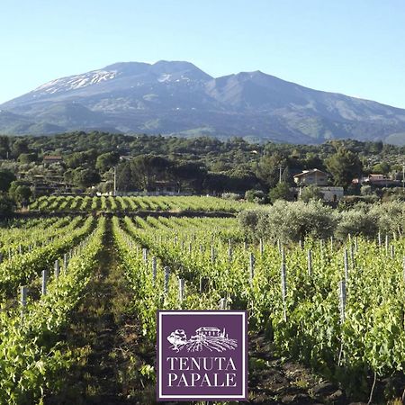 Tuttifrutti Holiday Acireale Bagian luar foto